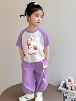 Children's cotton summer suit girls' 2026 new baby girl goes out to fry the street short-sleeved casual sports two-piece set - Image 2