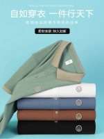 POLO Men's T-Shirt Short Sleeve Casual Light Luxury Business Summer New Lapel Embroidered Top Half-sleeved Dad Fashion - Image 2