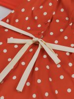 European and American cross-border women's clothing hot sale French vintage Hong Kong polish dot dress heavy industry embroidery waist 10013 - Image 5