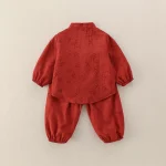 Baby full-month wear: spring and autumn style, baby 100-day two-piece set, long-sleeve Ha shirt, Chinese-style set, autumn one-year-old outing wear - Image 4
